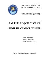 Bài thu hoạch cuối kỳ tinh thần khởi nghiệp đề tài xây dựng ý tưởng mỹ phẩm thuần chay