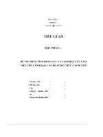 Phân tích động lực và tạo động lực làm việc cho lãnh đạo, cán bộ công chức cấp huyện