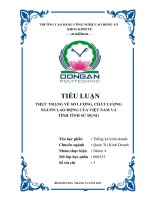 Tiểu luận thực trạng về số lượng, chất lượng nguồn lao động của việt nam và tình tình sử dụng