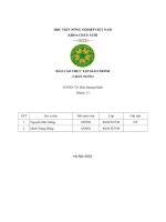 Báo cáo thực tập giáo trìnhchăn nuôi i