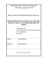 Tiểu luận kết thúc học phần nguồn nhân lực hoạt động đào tạo nhân lực chuyên môn kỹ thuật tại thành phố hồ chí minh