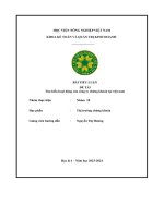 Bài tiểu luận tìm hiểu hoạt động của công ty chứng khoán tại việt nam