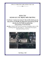 BÁO CÁO ĐÁNH GIÁ TÁC ĐỘNG MÔI TRƯỜNG Của Dự án “Amtran Investment”