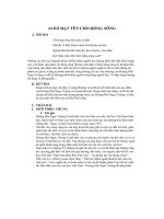 Ai đã đặt tên cho dòng sông