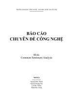 Báo cáo chuyên đề công nghệ đề tài comment sentiment analysis