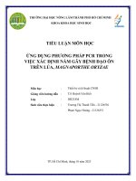 Nhóm 11  sáng thứ 3 thiết bị và kỹ thuật công nghệ sinh học