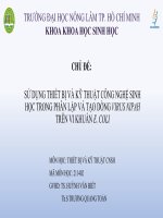 Bài báo cáo tiểu luận tbkt cnsh