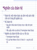 Nghiên cứu đoàn hệ trong nghiên cứu y khoa