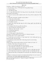 Báo cáo đề xuất cấp giấy phép môi trường  dự án “Nhà máy sản xuất tấm lợp kim loại, kết cấu thép công nghiệp Omega”