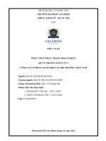 Tiểu luận phân tích thực trạng hoạt động quản trị bán hàng của công ty cổ phần acecook tại thị trường việt nam