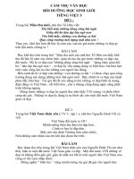 123Docz cảm thụ văn học bồi dưỡng học sinh giỏi tiếng việt 5   đề thi mẫu