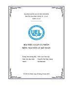 Phân tích báo cáo tài chính của hai công ty công ty viet jet công ty tre việt