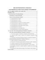 Brand positioning strategy and proposals for vietnamese enterprises