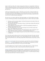 Đề cương ôn thi môn quản trị chiến lược