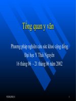 Các viết tổng quan y văn