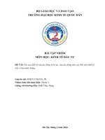 Bài tập nhóm môn học kinh tế đầu tư đề tài tại sao đầu tư vừa tác động tích cực, vừa tác động tiêu cực đến nền kinh tế  lấy ví dụ minh chứng