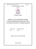 Nghiên cứu đặc điểm hình ảnh học và điều trị phình động mạch não thuộc vòng tuần hoàn sau bằng can thiệp nội mạch