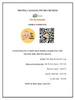 LẬP KẾ HOẠCH VÀ TRIỂN KHAI MOBILE MARKETING CHO THƯƠNG HIỆU BẾP ÔNG HOÀNG