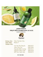 Tiểu luận công ty tnhh mỹ phẩm nature story cocoon