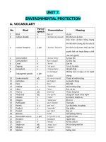 Bài tập tiếng anh lớp 8 global success 8 hk2