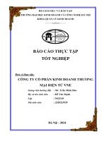 Bao cao thuc tap tot nghiep cong ty vne