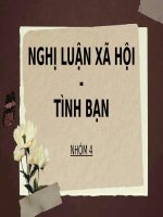 Nghị luận xã hội tình bạn