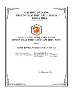 BỘ MÔN PHÁT TRIỂN SẢN PHẨM THỰC PHẨM Đề tài BÁNH BÔNG LAN HẠNH NHÂN SỢI GÀ