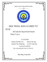 Bán lẻ điện tử đề tài đề xuất kế hoạch kinh doanh nhóm taurus