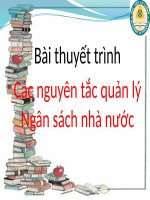 Tiểu Luận - Các Nguyên Tắc Quản Lý Ngân Sách Nhà Nước