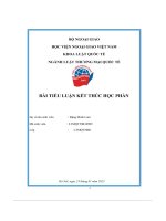 Bài tiểu luận kết thúc học phần bảo hộ quyền tác giả đối với tác phẩm âm nhạc tại việt nam