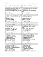 Task tacn1 hahahhahhhahhahha