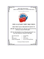 Tiểu luận kết thúc học phần tình hình đầu tư trực tiếp nước ngoài tại việt nam, thành tựu và hạn chế kiến nghị