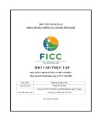 Báo cáo thực tập định hướng nghề nghiệp i thực tập sinh marketing công ty sun colors