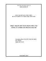 Đề tài nghiên cứu khoa học sinh viên thực trạng kế toán hàng hóa tại công ty tnhh tân hoàng hải nb