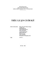 Tiểu luận cuối kỳ các vấn đề toàn cầu đề tài quyền con người