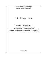 Kỷ yếu hội thảo khoa học cấp Khoa: Các loại hợp đồng trong lĩnh vực lao động và những khía cạnh pháp lý đặt ra