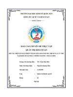 Báo cáo chuyên đề thực tập: Một số giải pháp tối đa hóa doanh thu dịch vụ lưu trú khách sạn de L'Opera Hanoi - Mgallery