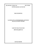 Luận văn thạc sĩ Luật học: Lao động nữ và vấn đề bình đẳng giới trong Bộ luật Lao động năm 2019