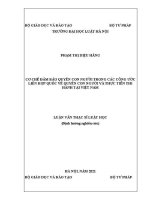 Luận văn thạc sĩ Luật học: Cơ chế bảo đảm quyền con người trong các công ước Liên Hợp quốc về quyền con người và thực tiễn thi hành tại Việt Nam