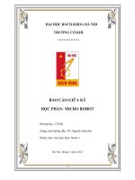 Báo cáo giữa kỳ học phần micro robot  đề tài bộ vi dẫn động áp điện (piezoelectric micro actuator)