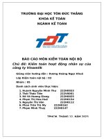 Báo cáo môn kiểm toán nội bộ chủ đề kiểm toán hoạt động nhân sự của công ty vinamilk