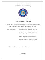 Giải pháp khai thác cá ngừ phụ vụ xuất khảu theo hướng phát triển bền vững về môi trường tại việt nam