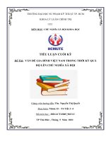 Tiểu luận cuối kỳ đề tài  vấn đề gia đình việt nam trong thời kỳ quá độ lên chủ nghĩa xã hội