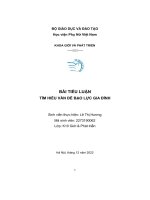 Bài tiểu luận tìm hiểu vấn đề bạo lực gia đình