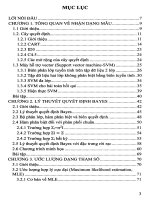 Giáo trình nhận dạng mẫu iuh