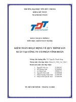 Kiểm toán hoạt động về quy trình sản xuất tại công ty cổ phần vĩnh hoàn