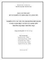 Nghiên cứu các yếu tố ảnh hưởng đến hành vi mua sắm trực tuyến của sinh viên trường đại học thương mại