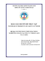 Báo cáo chuyên đề thực tập: Giải pháp hoàn thiện hoạt động marketing online tại Công ty TNHH Du lịch Vua Á Châu