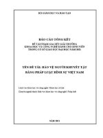 Báo cáo tổng kết đề tài: Bảo vệ người khuyết tật bằng pháp luật hình sự Việt Nam