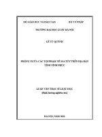 Luận văn thạc sĩ Luật học: Phòng ngừa các tội phạm về ma tuý trên địa bàn tỉnh Vĩnh Phúc